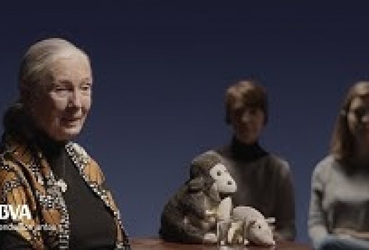 Imagen portada "Tenemos intelecto. ¿Pero somos tan inteligentes?". Jane Goodall, primatóloga