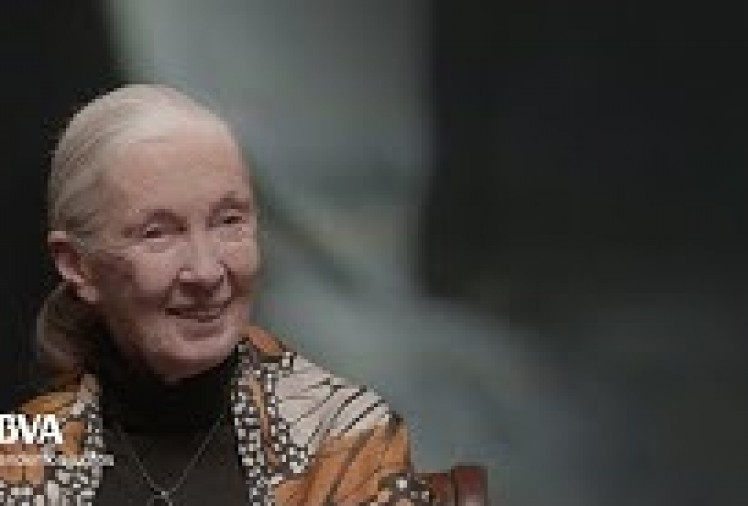 Imagen portada V.O. My message to girls who want to be scientists. Jane Goodall, primatologist