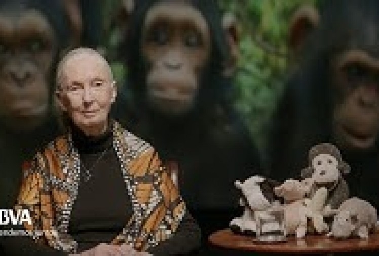Imagen portada Versión Completa. Lecciones de vida de un espíritu indomable. Jane Goodall, primatóloga