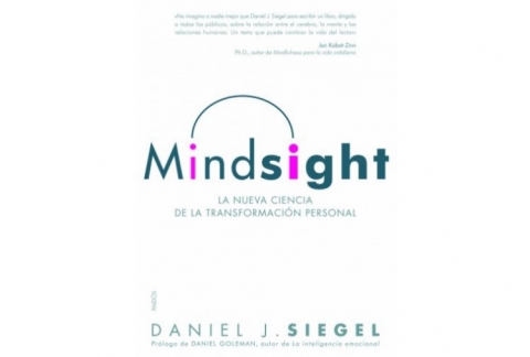 Mindsight