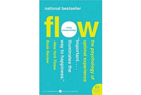 Flow: The Psychology of Optimal Experience