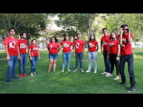 Imagen portada Dinámica: Ranita (Integración de equipos) 29