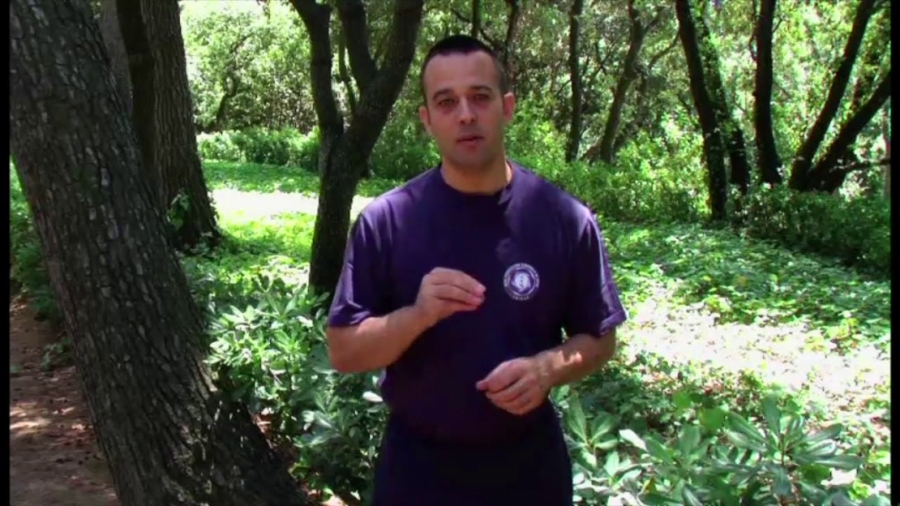 Imagen portada Clase de Iniciación al Chikung. Qigong. 64