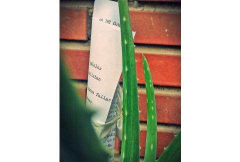 POEMA A LA DESESPERACIÓN                        *AloeVersa_Nuria Herrera*