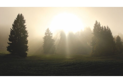 El poder transformador de la gratitud