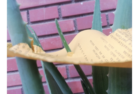 POEMA SOBRE DIOS (I)                  *AloeVersa_Nuria Herrera*