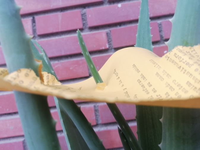 Imagen portada POEMA SOBRE DIOS (I)                  *AloeVersa_Nuria Herrera*