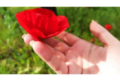 Conectar a través del Arte