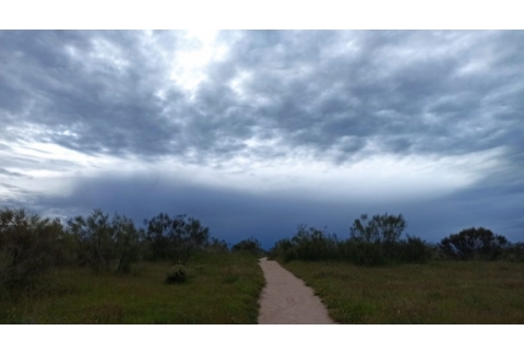 El olvido de lo que somos