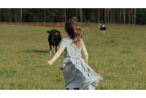 Dejar de hacer suposiciones