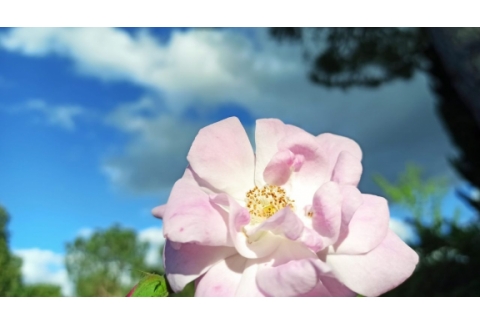 Las excusas como espejos de aprendizaje