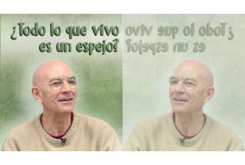¿Todo lo que vivo es un espejo? - Cortos Emilio Carrillo