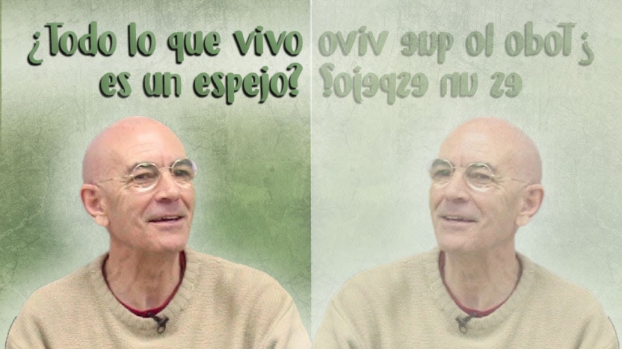Imagen portada ¿Todo lo que vivo es un espejo? - Cortos Emilio Carrillo