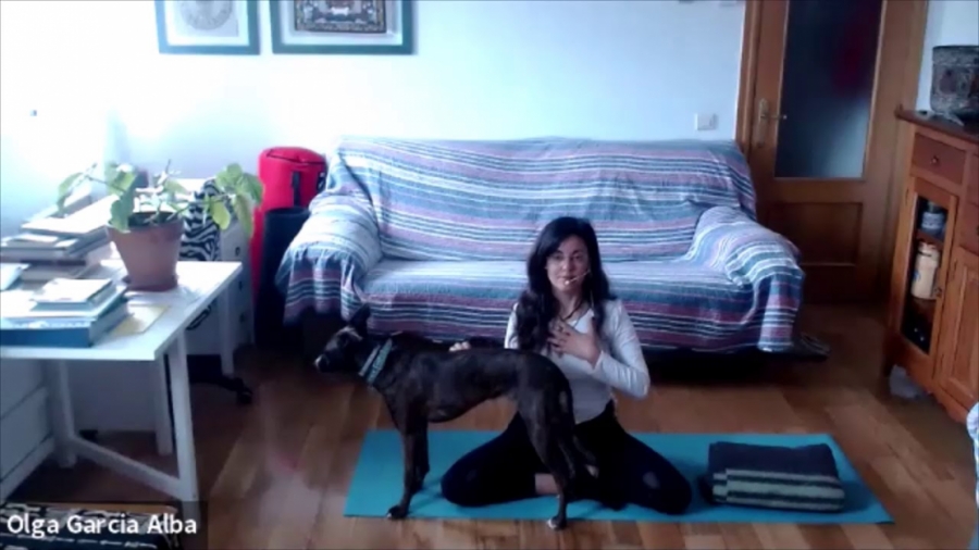 Imagen portada Meditación de gratitud