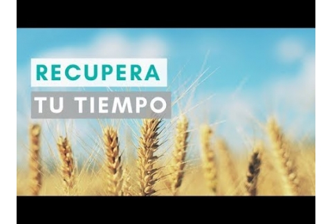 4 Claves para recuperar tu tiempo