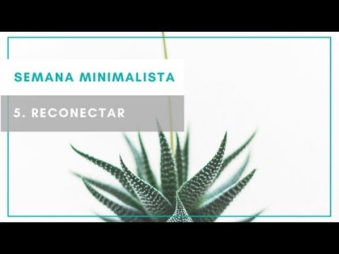 Imagen portada ¿Qué hacer para reconectar? SEMANA MINIMALISTA 5