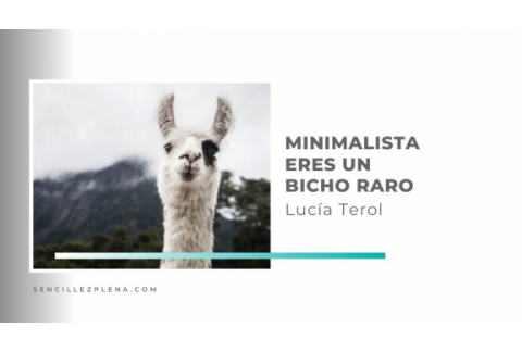 bicho raro por ser minimalista