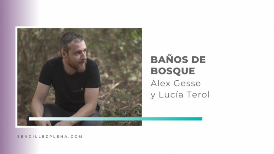 Imagen portada Shinrin Yoku con Alex Gesse