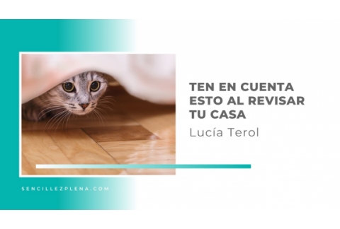 Lo que se esconde dentro de nuestras casas