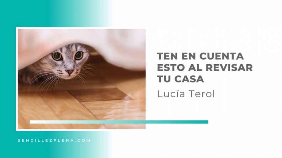 Imagen portada Lo que se esconde dentro de nuestras casas