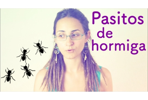 Pasitos de hormiguita para alcanzar tu objetivo