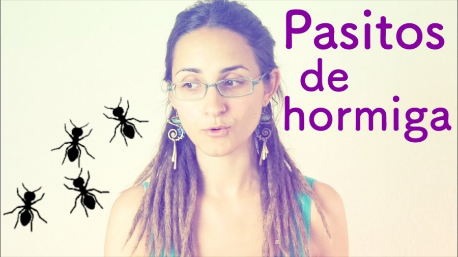 Imagen portada Pasitos de hormiguita para alcanzar tu objetivo