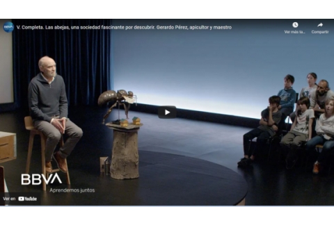 Las abejas, una sociedad fascinante por descubrir