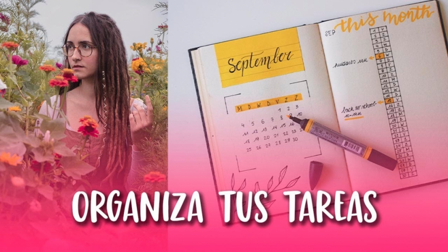 Imagen portada Organiza tus tareas con eficacia | MAPA DE PRIORIDADES | Curso bajar el ritmo #2