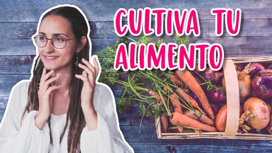 Imagen portada ¿Tienes miedo? ¡Pon un huerto!