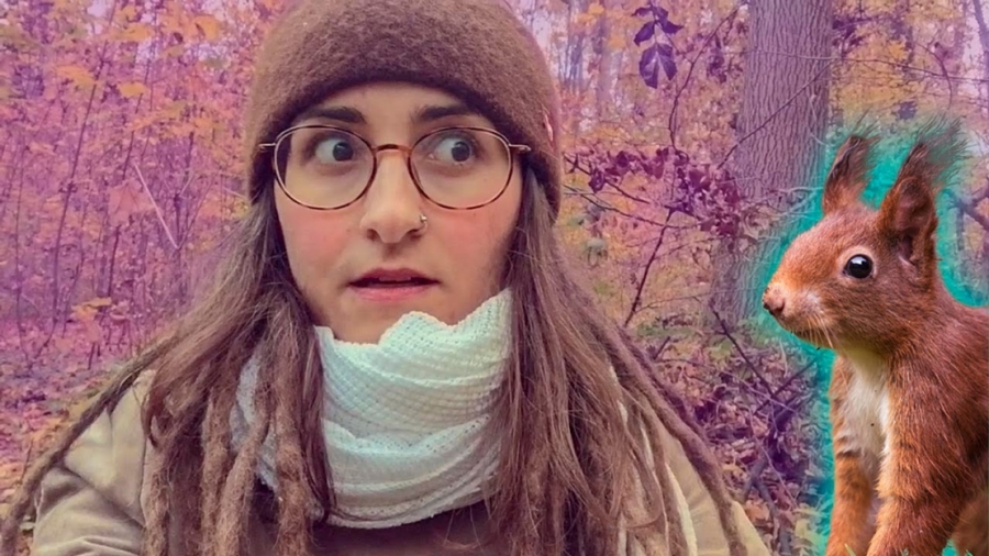 Imagen portada Sobre la pérdida | Me ataca una ardilla