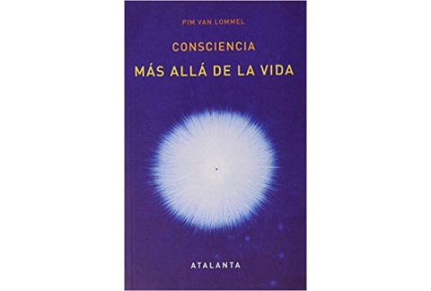 Consciencia más allá de la vida