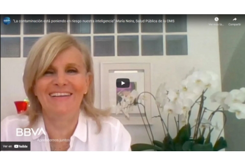 La contaminación está poniendo en riesgo nuestra inteligencia