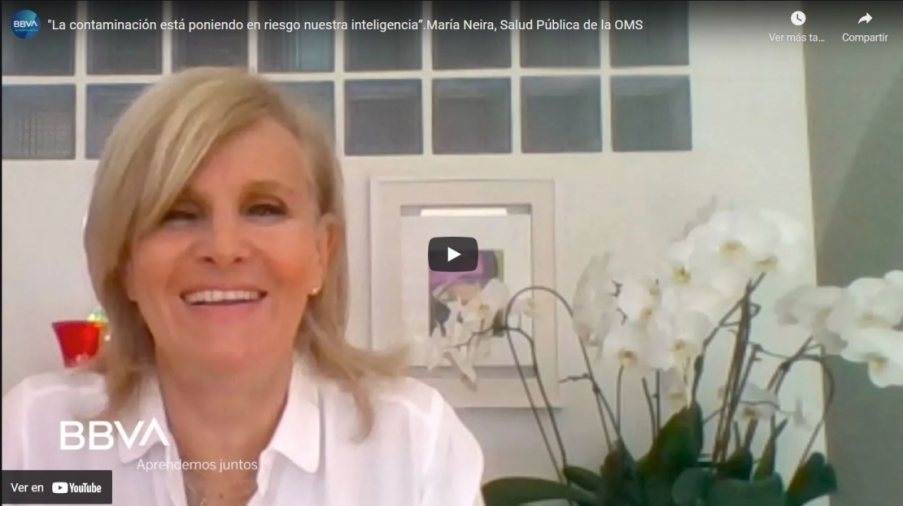 Imagen portada La contaminación está poniendo en riesgo nuestra inteligencia