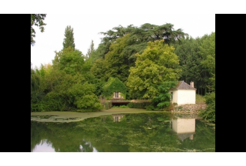 LA SALUD ES TU RESPONSABILIDAD