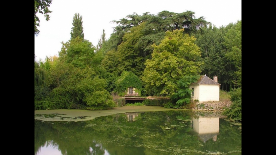 Imagen portada LA SALUD ES TU RESPONSABILIDAD