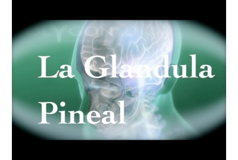 La glándula pineal, el tercer ojo y los viajes astrales.