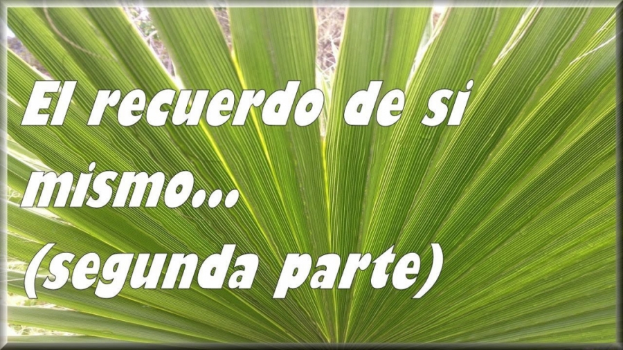 Imagen portada El recuerdo de si 2