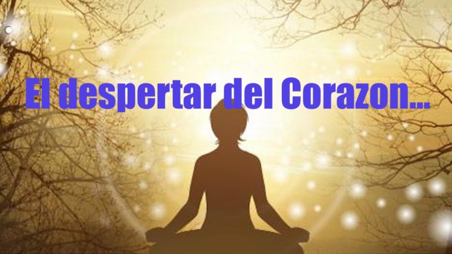 Imagen portada Estimula el despertar del Corazon.