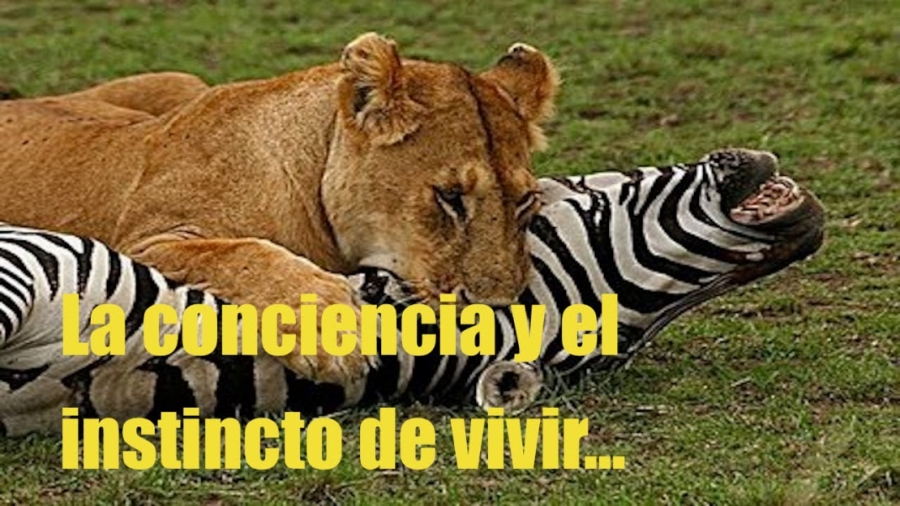 Imagen portada La conciencia y el instincto de vivir.