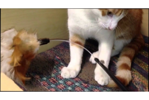 Experiencias  astrales personales