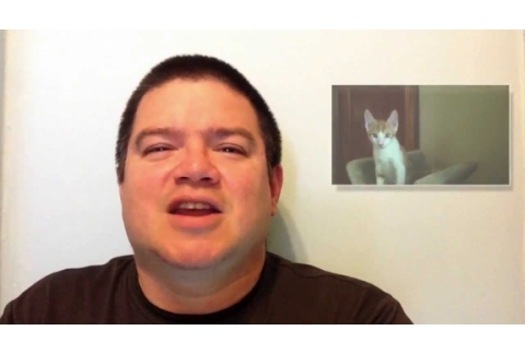 Las mascotas y el despertar de la conciencia