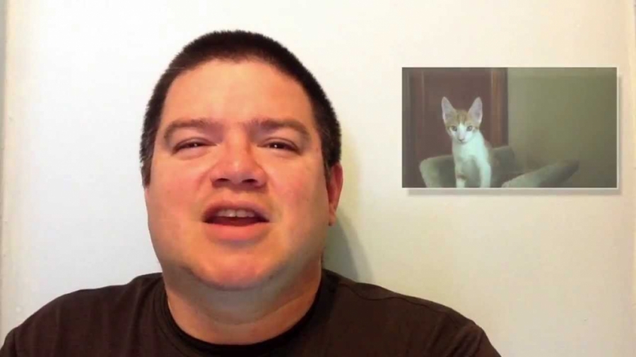 Imagen portada Las mascotas y el despertar de la conciencia