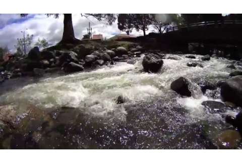 El Rio de la Conciencia.