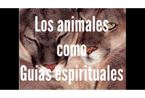 Los animales como guías espirituales.