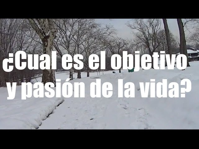 Imagen portada ¿Cual es el objetivo y pasión de la vida?