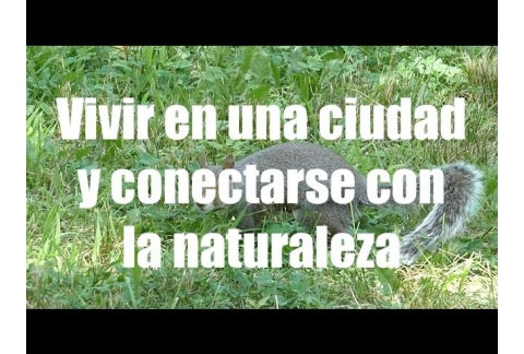 Buscar la harmonía con la naturaleza en una ciudad.