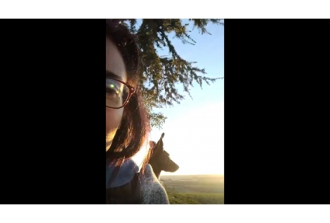 ¿Una simple puesta de Sol?