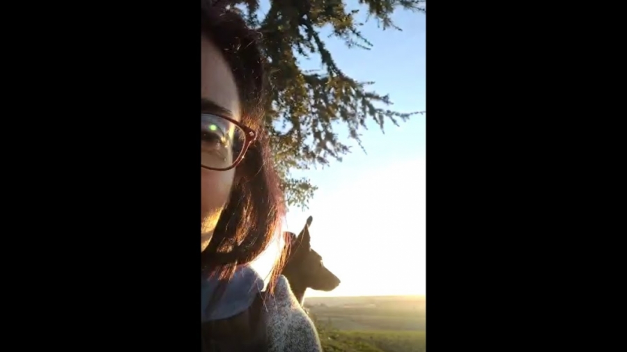 Imagen portada ¿Una simple puesta de Sol?