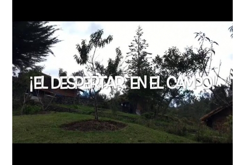 El campo y el Despertar.