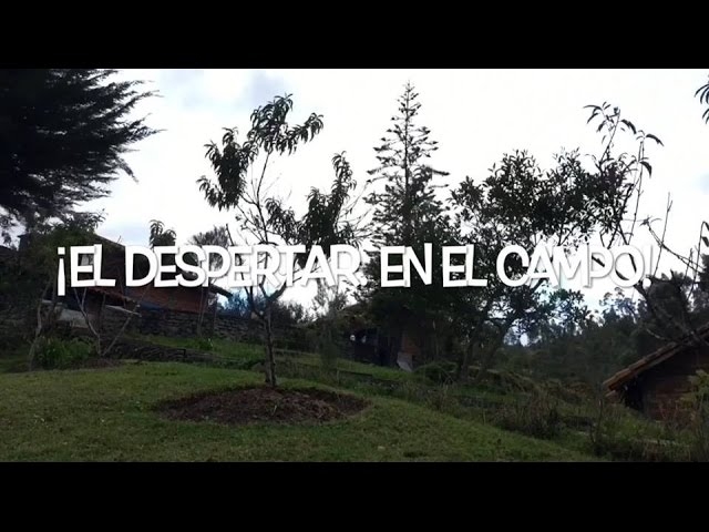 Imagen portada El campo y el Despertar.